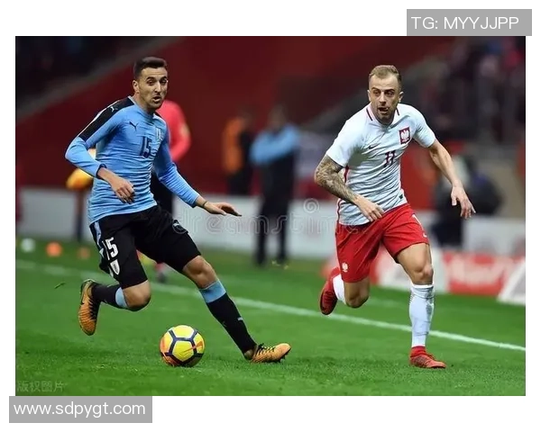 芬兰与冰岛激战正酣比赛比分揭晓引发热议